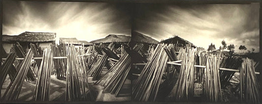 Everything has a Purpose